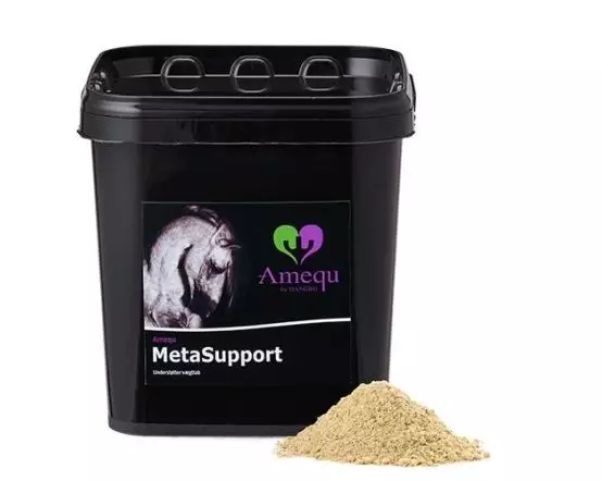 metasupport