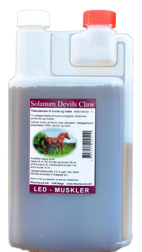 Solanum_Devils_Claw_66019c75-e120-41c1-aaf7-2e2a21c46715_740x